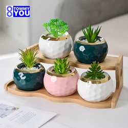 Office Desk Bamboo Shelves Mini Bay Window Windowsill Green Pineapple Succulent Tabletop Balcony Multi-layer Small Flower Rack