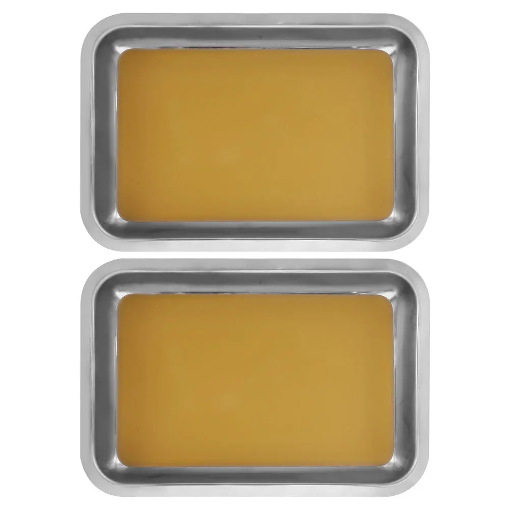 2 قطعة صينية تشريح قاعدة شمع من الفولاذ المقاوم للصدأ A4 علم الأحياء أداة العلوم التعليمية مقلاة تشريح الفصول الدراسية المدرسية #3