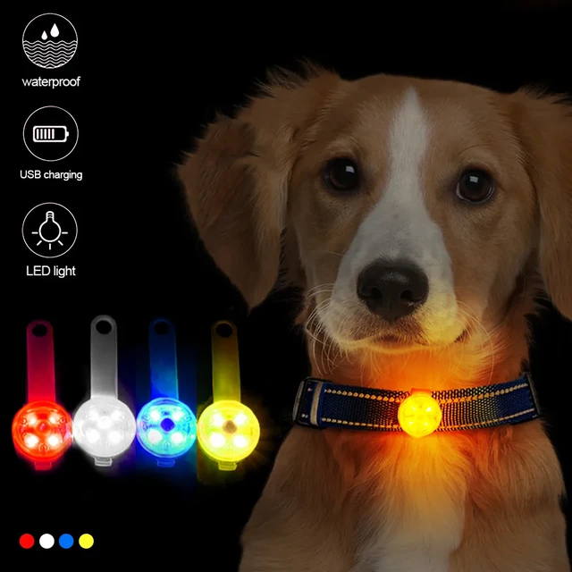 Dog shops collar led flashing light