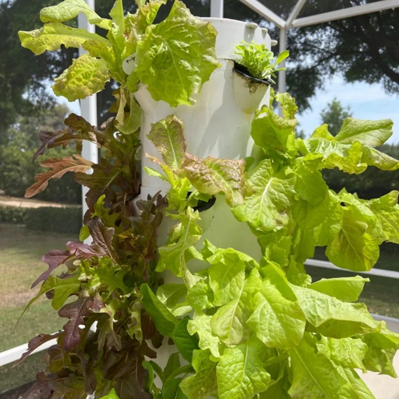 ABNO-Hydroponic Planting Medium Block Plant Block Soilless Matrix Sowing Rock Wool Plug Tray Seedling Block Cultivation