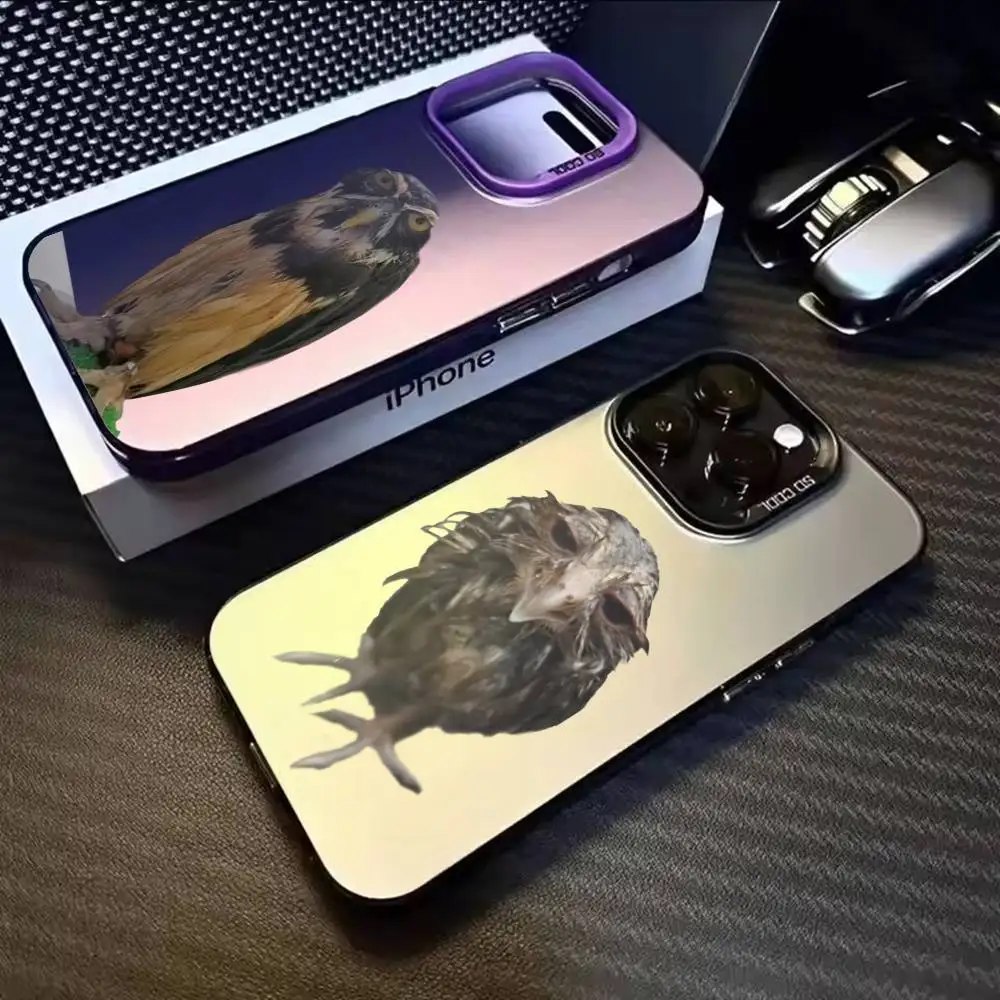 

Owls F-Funny OvO Phone Case For iPhone 17,16,15,14,13,12,11,Mini,Pro,E,MAX White Matte Shockproof Cover