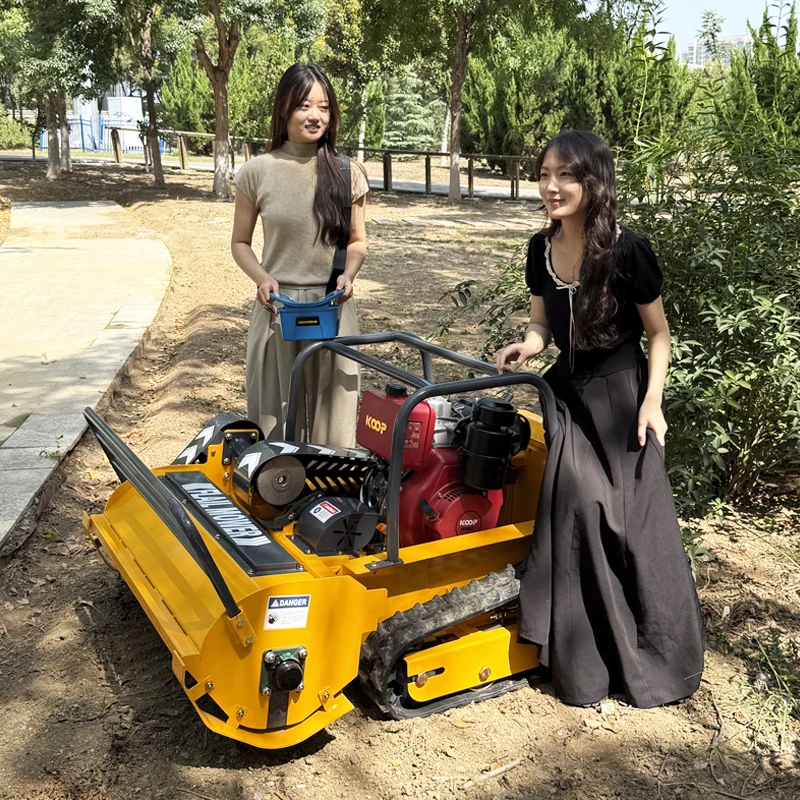 Customized Multifunctional Remote Control Flail Lawn Mower - New RC Tool for Agriculture Farm Garden