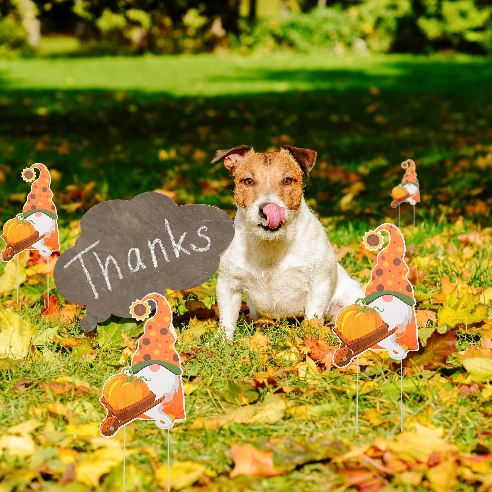 

Lovely Yard Sign Thanksgiving Fall Outdoor Decoration Sturdy Plastic Insert Board Bright Color Vivid Pattern Durable for Indoor