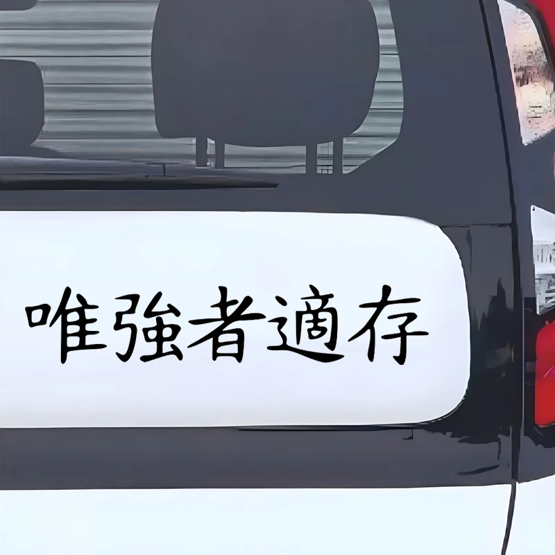 

CS910HB# Hieroglyph Survives The Strongest Funny Car Sticker Vinyl Decal Waterproof Car Accessories Decor