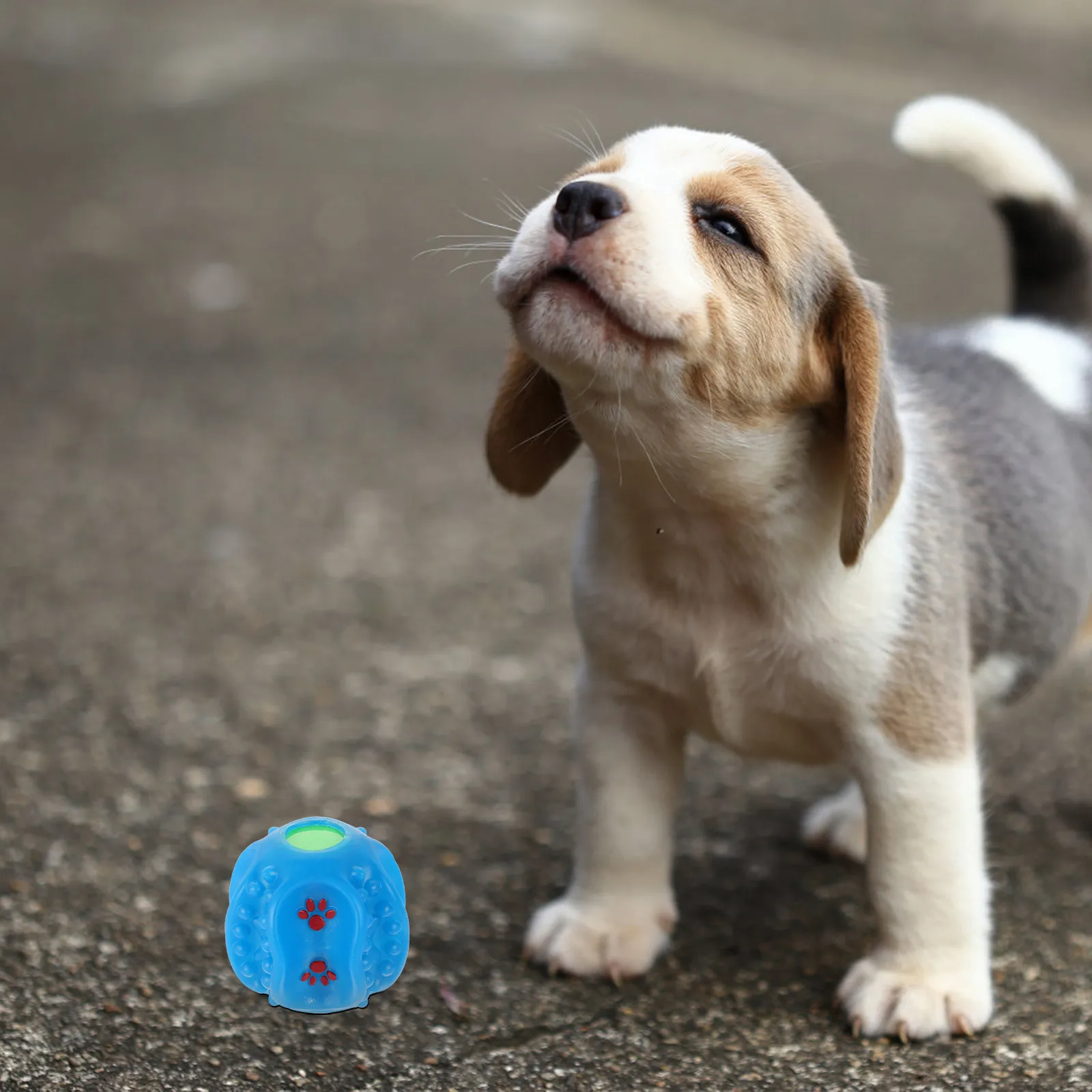 Dog Treat Ball Interactive Chew Ball Slow Feeder Promotes Healthy Eating Mental Exercise for Dogs Treat Dispensing Dog