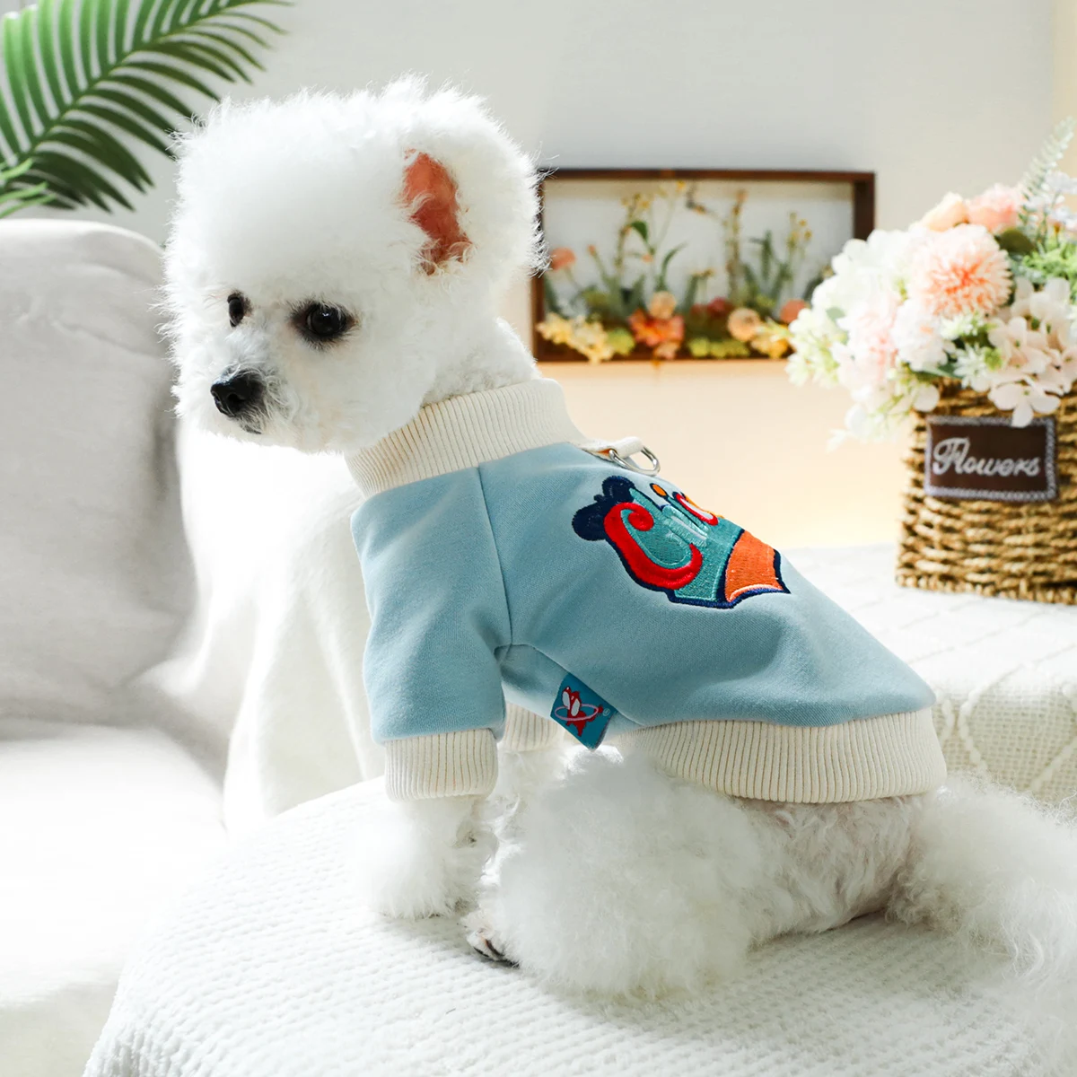 1PC Pet Clothing Spring and Autumn Velvet Hoodie Blue Color Chicago Hoodie Suitable for Small and Medium sized Dogs