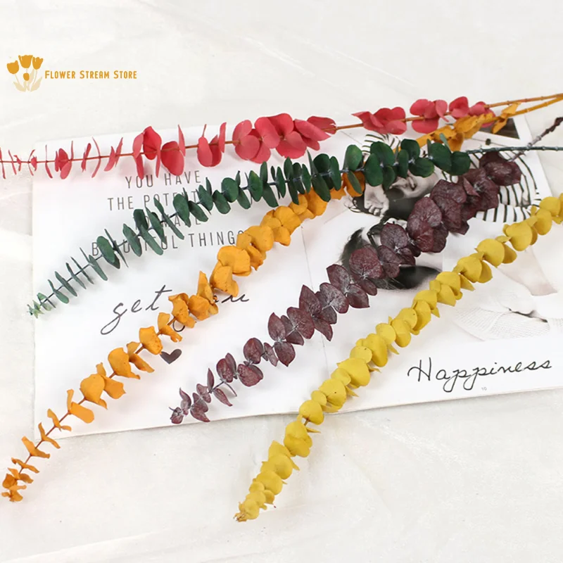 

Natural Dried Flowers Eucalyptus Leaves Wedding Table Decoration Colourful Real Plant Branches Stems Home Decor Accessories