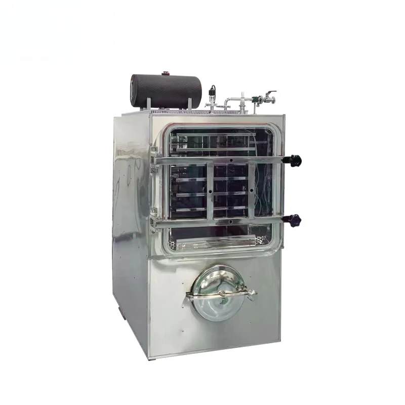 Cheap Lyophilizer 50Kg Dryer Freeze Drying Fruit Machine