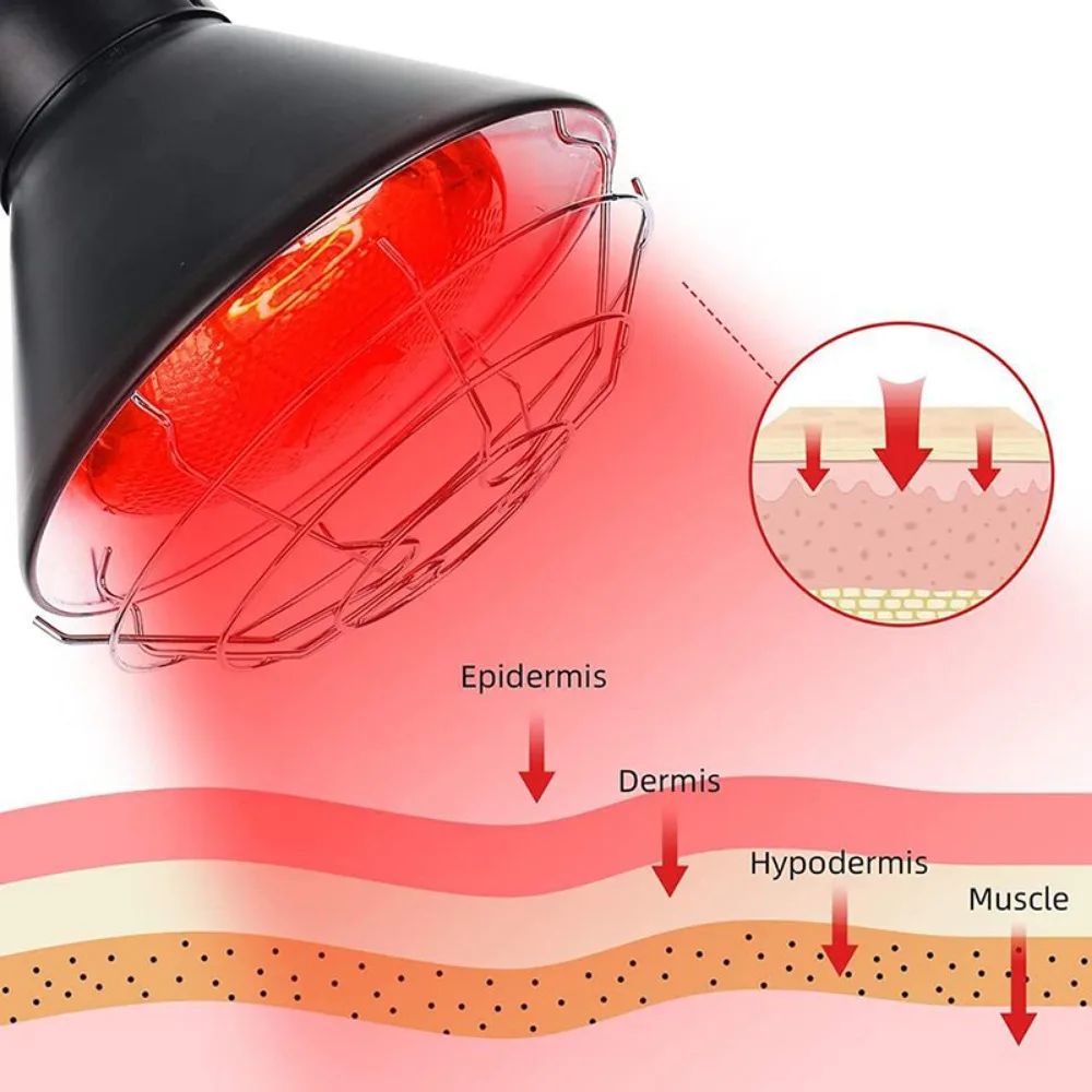 Terapia a infrarossi Lampada da 150 W Lampada da scrivania per massaggio a luce rossa Allevia il dolore muscolare Bellezza Parrucchiere e luce per il riscaldamento del sangue