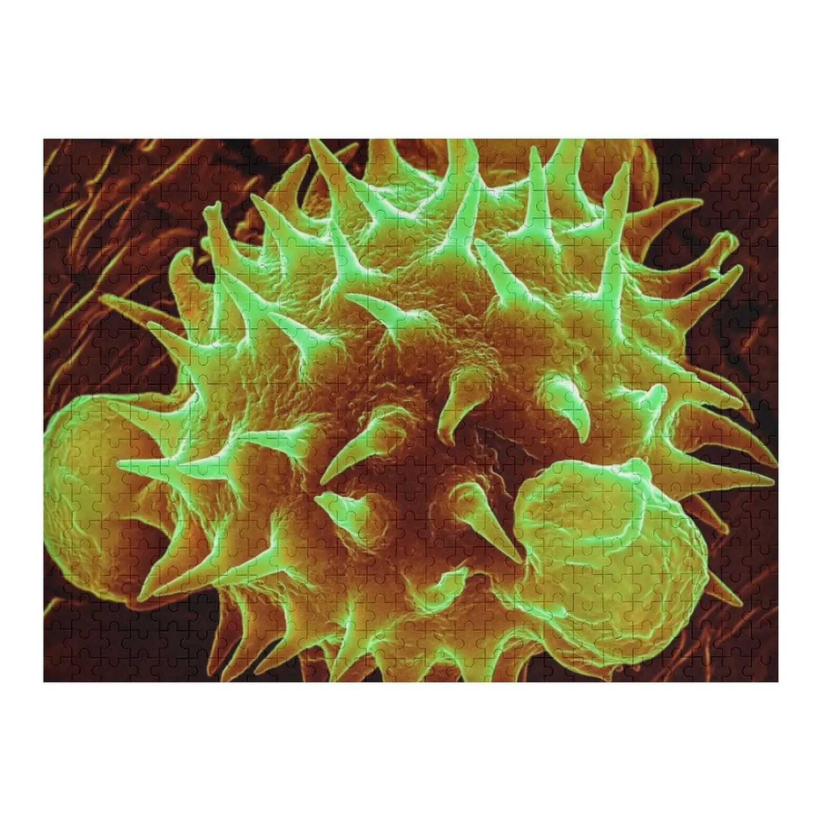 

Pollen - Daisy (Orange) Jigsaw Puzzle Customizable Child Gift Woods For Adults Puzzle