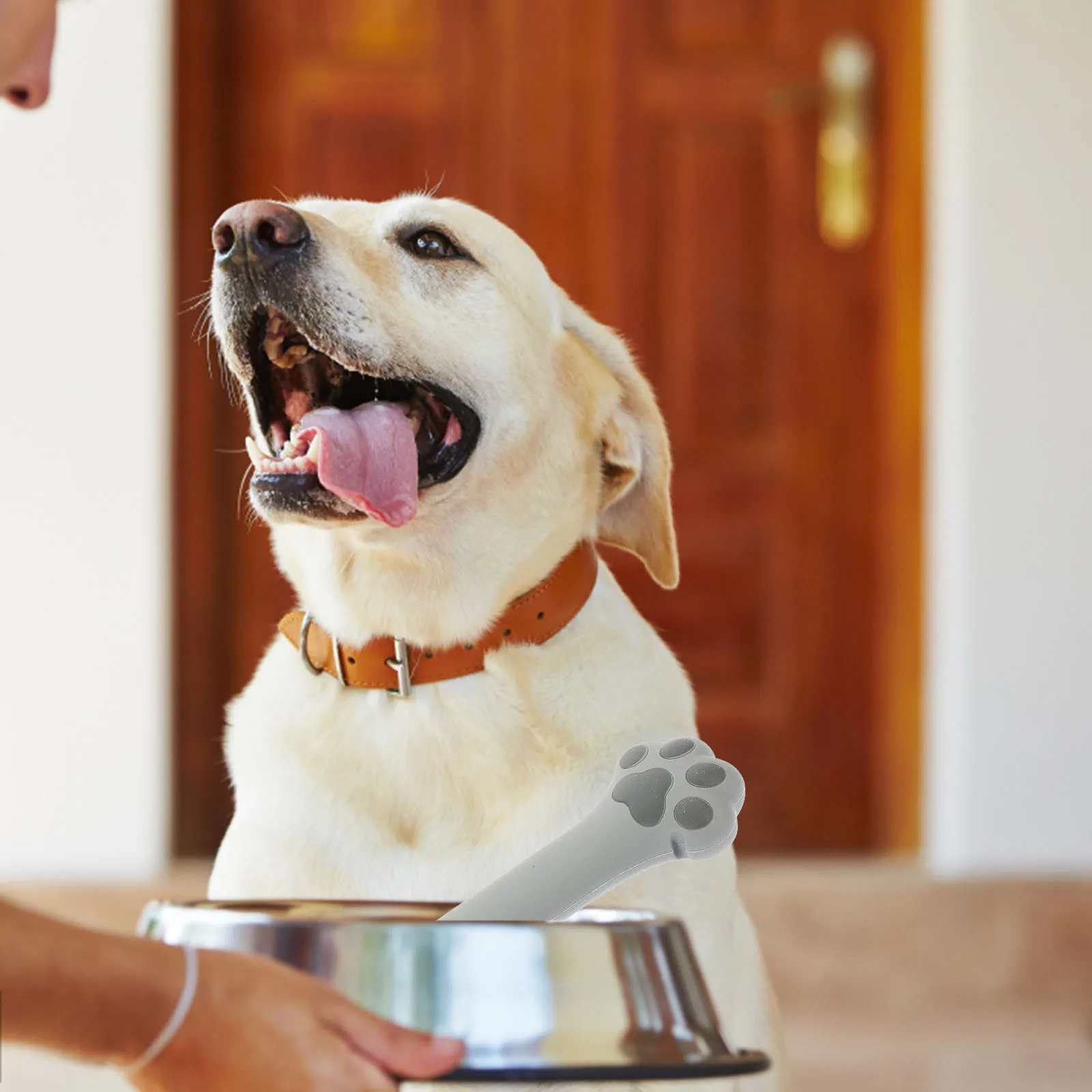 

Smart Design Silicone Cat Food Can Effort When Opening Tins Convenient Feeding Spoon for Pets Daily Meal Preparation