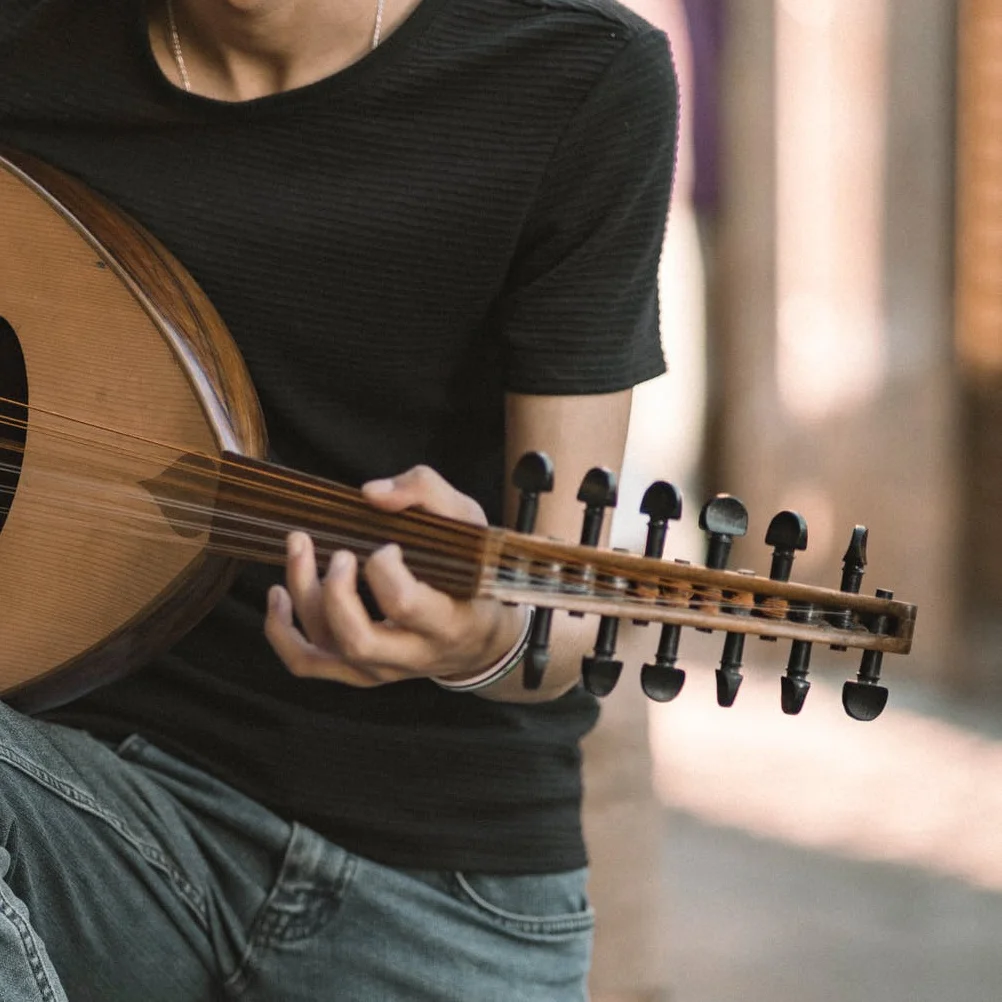 

12Pcs Oud Tuning Pegs Ebony Craft Professional Replacement Fittings Sturdy Black Pegs for String Instrument Use