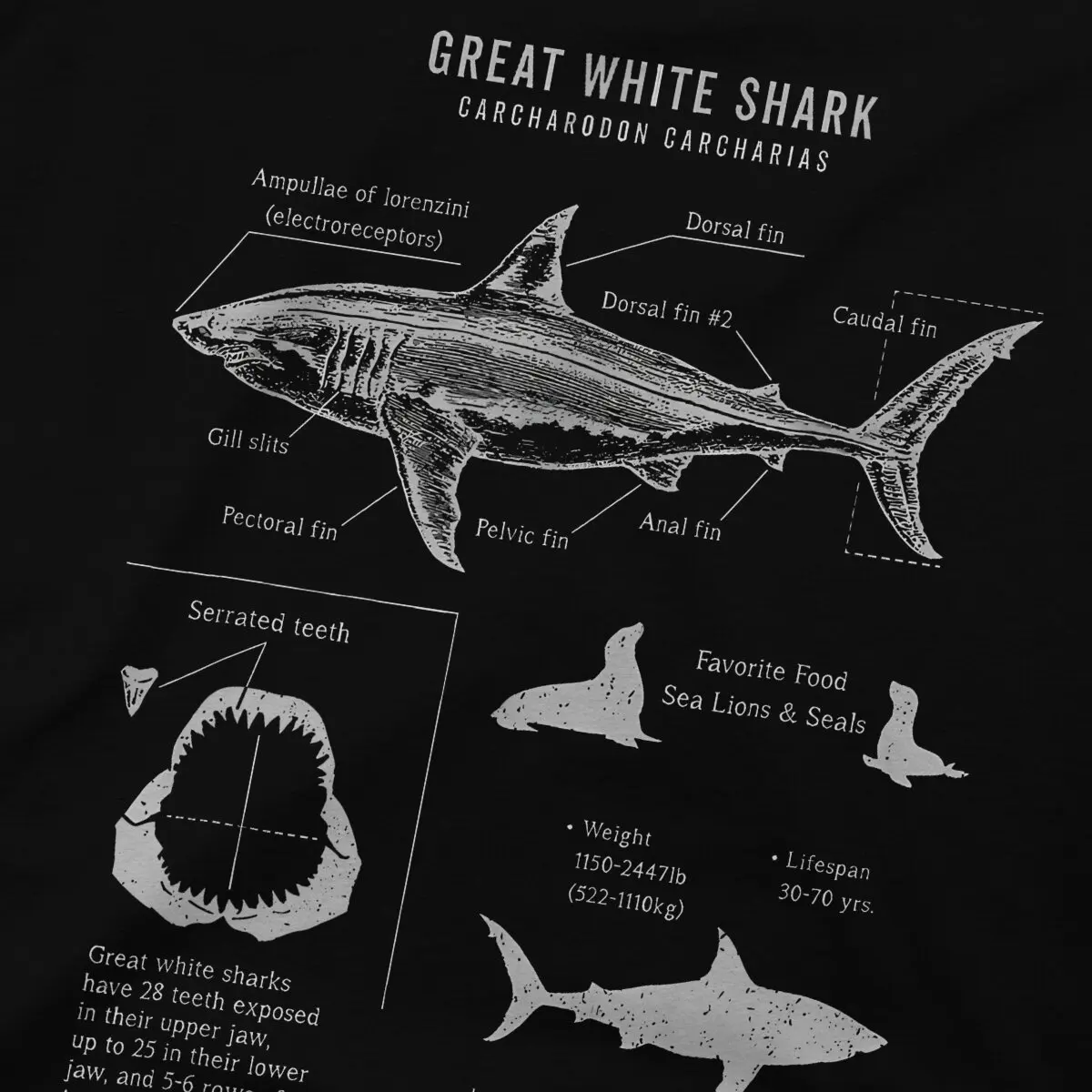 Great White Graphic TShirt Shark Scuba Diving Style Tops Comfortable T Shirt Men Short Sleeve Special Gift Idea