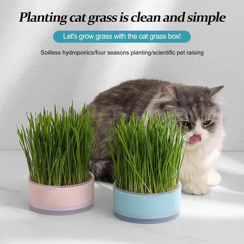 Pet Catgrass Hydroponic Set Grass Planting Box S Elf Watering Cat Grass Kit Elf Watering Cat Grass Kit Cat Grass Planter