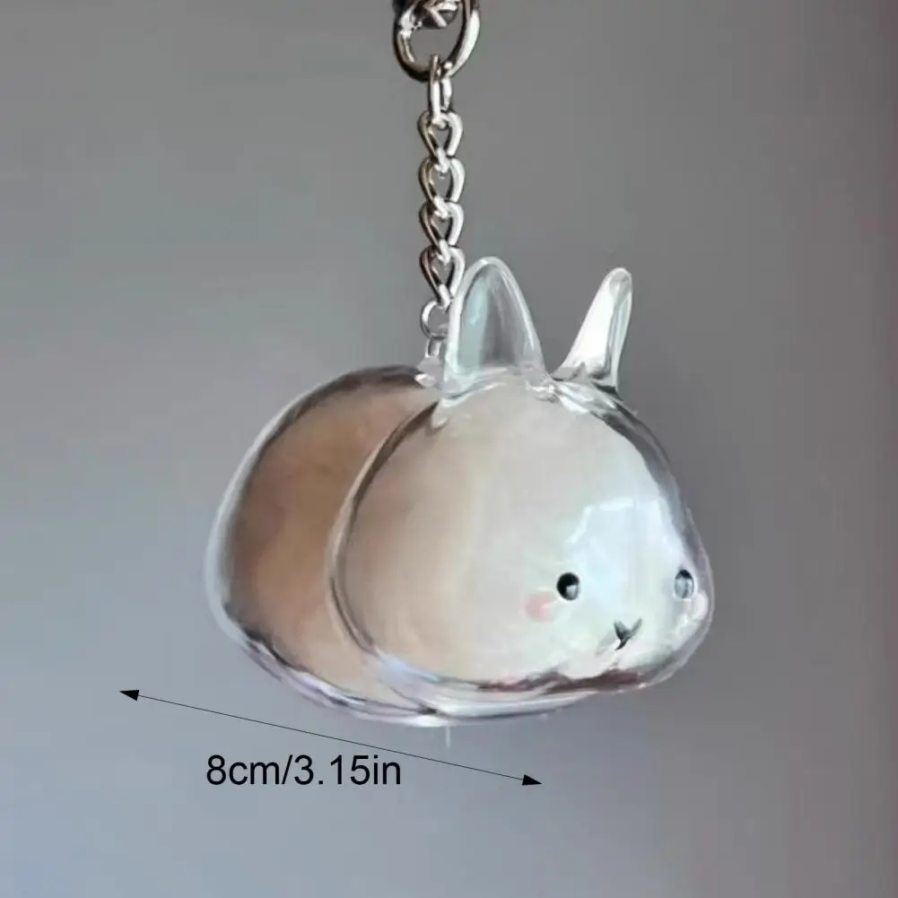 1/4Pcs Gantungan Kunci Bulu Hewan Peliharaan, Gantungan Kunci Bulu Kelinci, Botol Penyimpanan Bulu Transparan, Liontin Kenangan, Gantungan Kunci Bulu Hewan Peliharaan