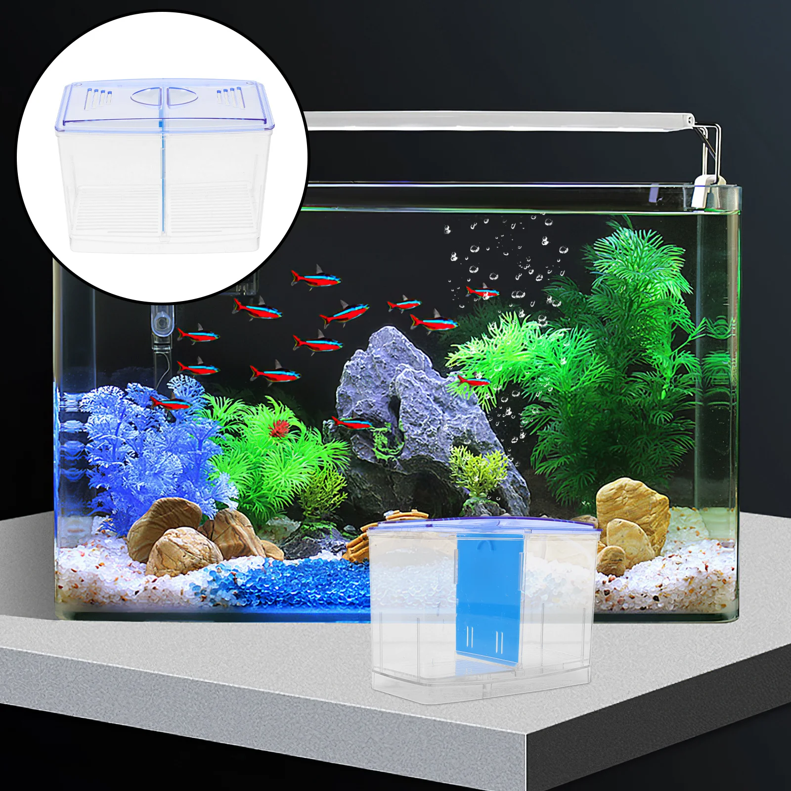 

Fish Isolation Box Aquarium Guppy Breeding Transparent Fish Nursery Hatchery Fry Breeding Aquarium Tank Accessory