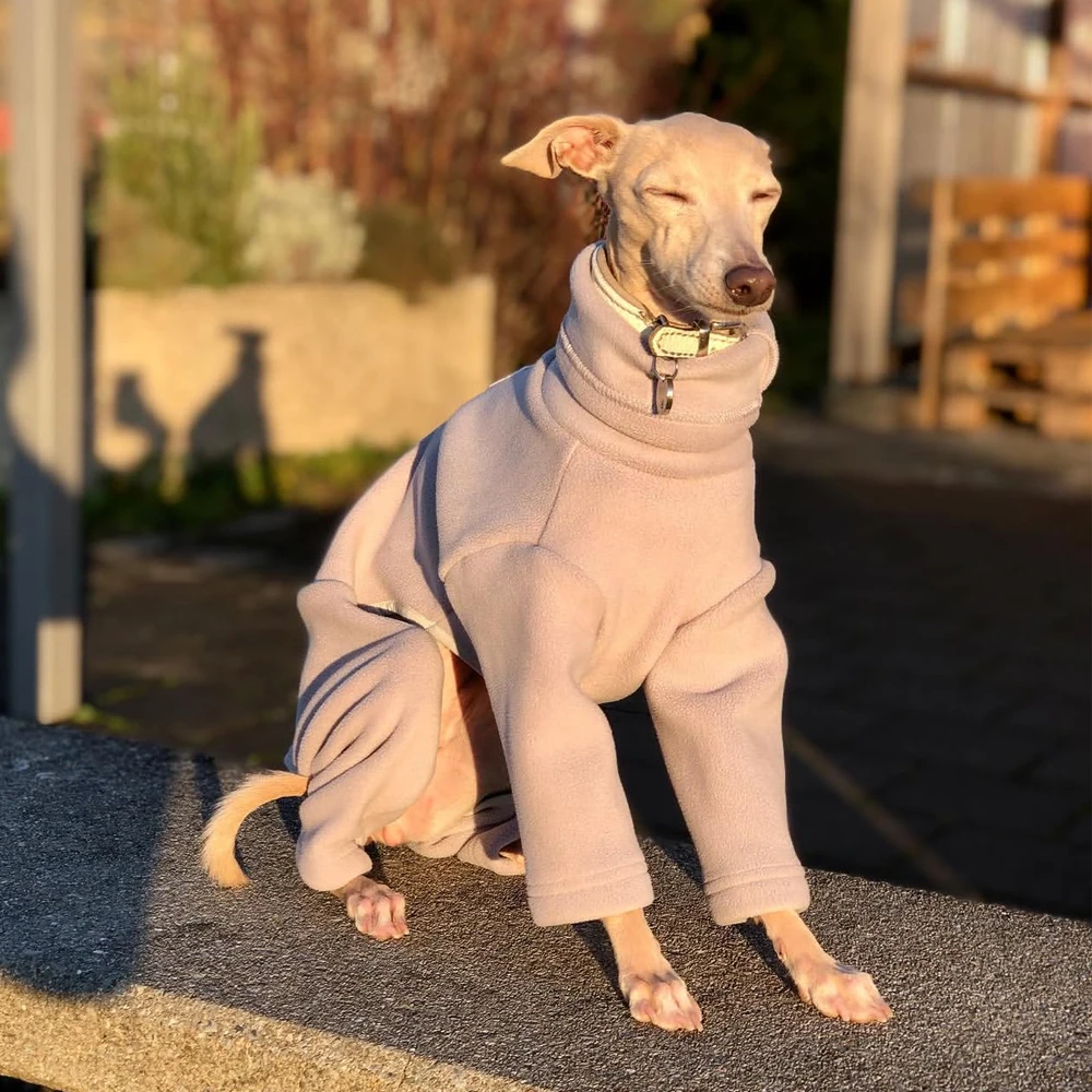 Abrigo invierno polar 4 patas para perros Whippet y Galgo Italiano - imagen 4