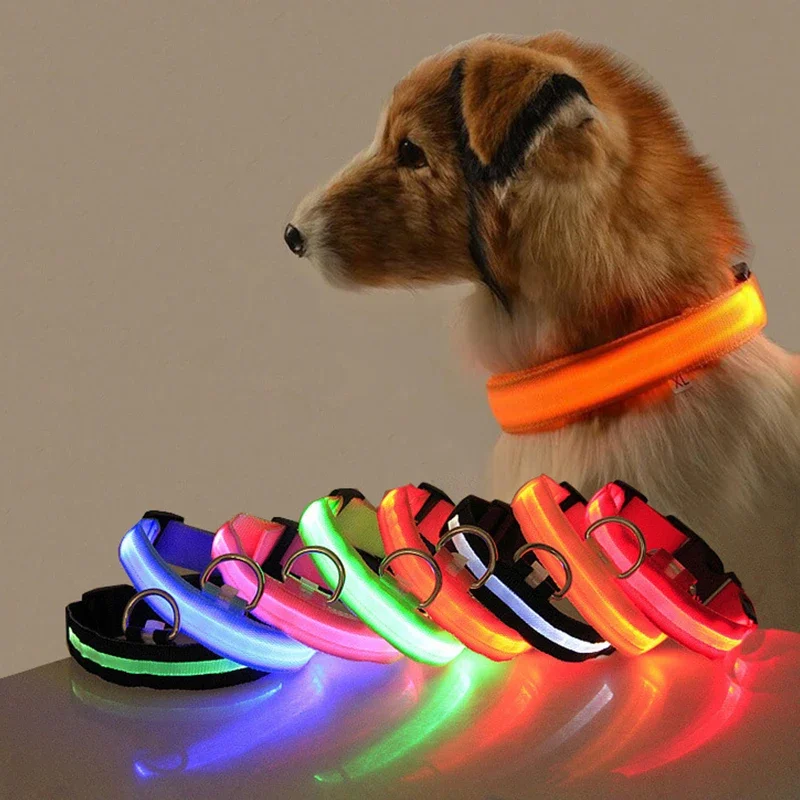 Led Dog Collar Light Anti-lost Collar For Dogs Puppies  Night Luminous Supplies Pet Products Accessories USB Charging/Battery