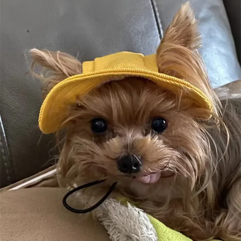 

Cute Cat Dog Pets Hat with Ear Hole Dog Beach Visor Hat Sunhat for Cat Accessories Sun Cap Pet Outdoor Hat Supply for Dog Costum