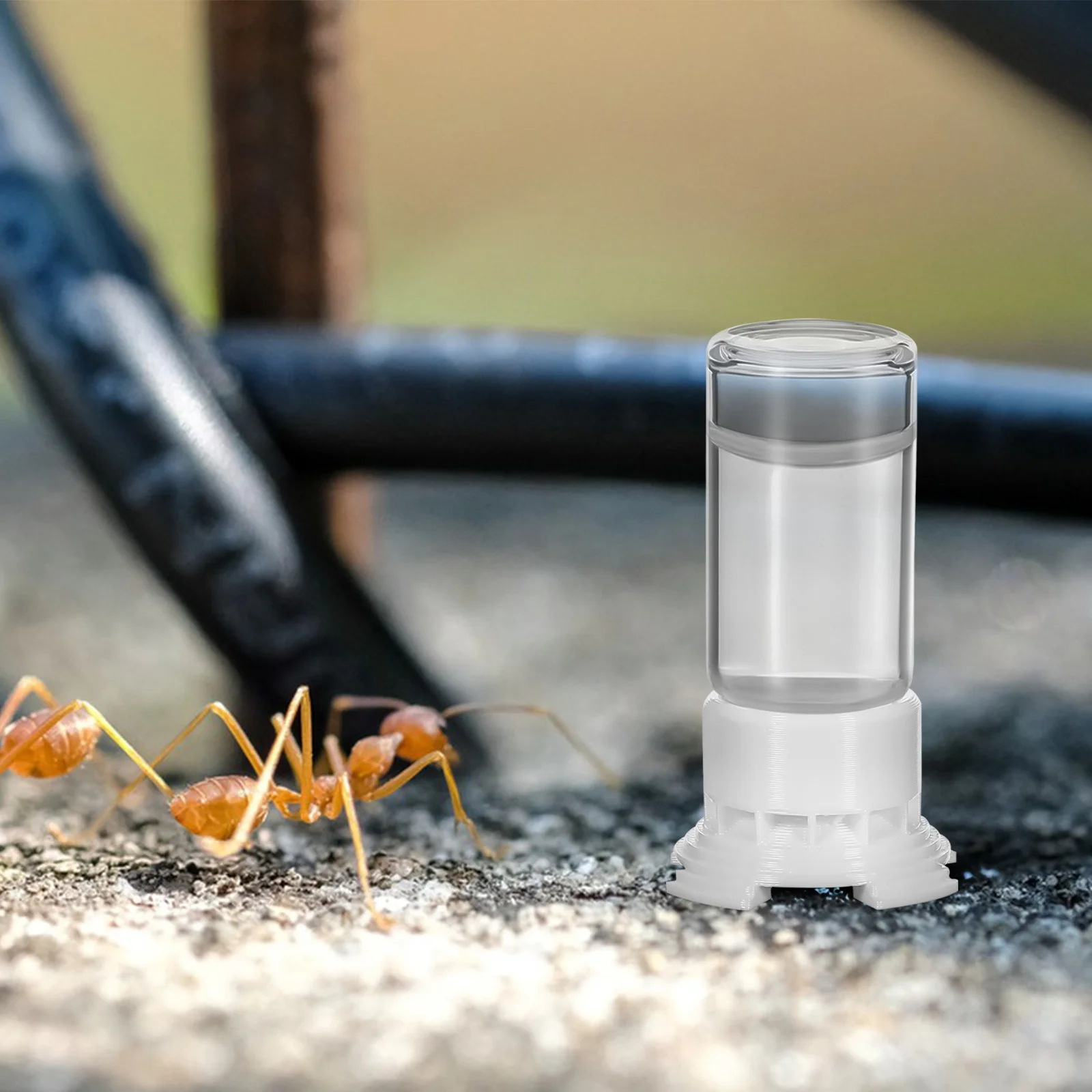 2 قطعة كوب تغذية عش النمل إمدادات المياه العذبة في أي وقت لا مزعج للمعمرة بناء زجاجي بلاستيكي قوي