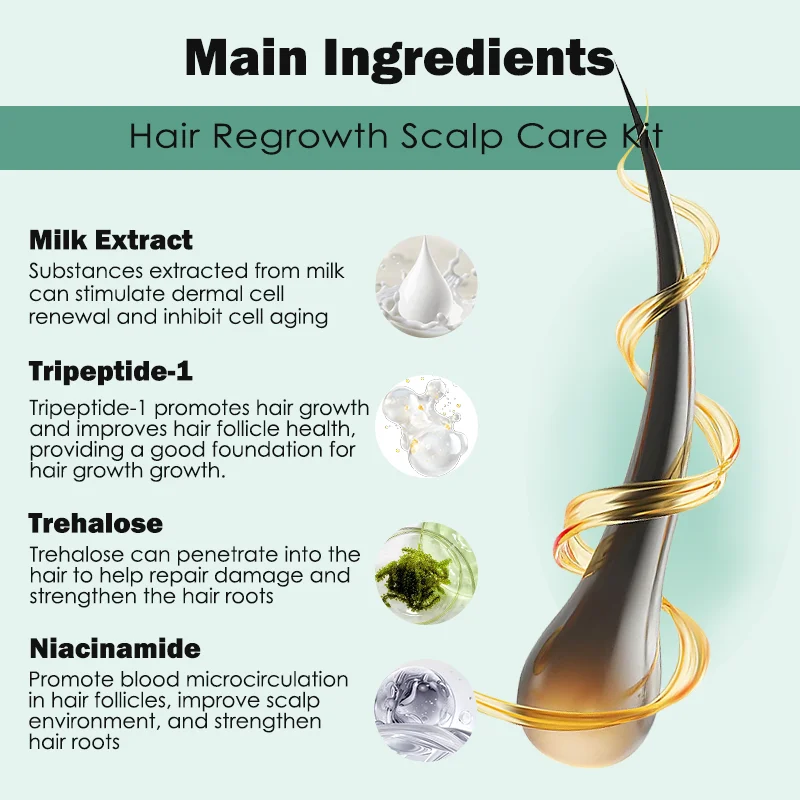 ZS EGF مكافحة تساقط الشعر إعادة نمو بصيلات الشعر إصلاح المغذيات Exosomes مجموعة العناية بفروة الرأس الجذعية نمو الخلايا عامل إعادة نمو الشعر السريع