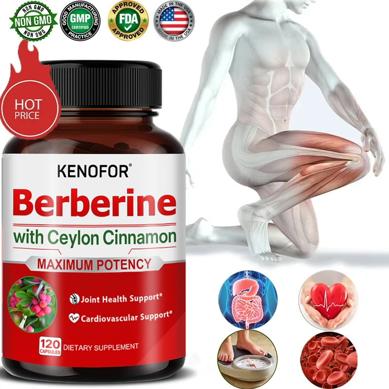 Berberine and Ceylon Cinnamon Capsules - Supports Joints, Cardiovascular System and Overall Health, Relieves Muscle Pain