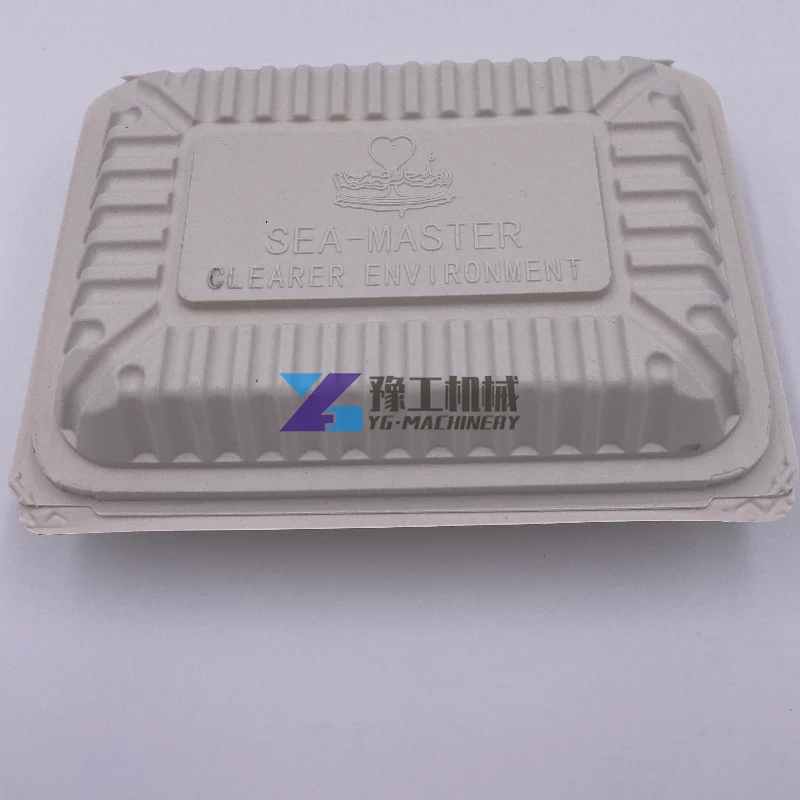 Hot Sale Cost Effective Biodegradable Food Box Clamshell Box Making Machine