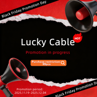 XINHS BV19 Black Friday Lucky Cable HiFi Earphone Upgrade Cable