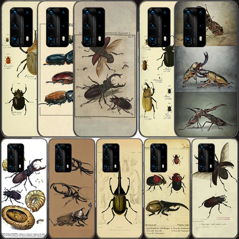 Bugs bees scientific decomposition Soft Clear Phone Case For Huawei P30 Lite P10 P20 P40 P50 Pro Mate 40 Pro 30 20 10 Lite Cover