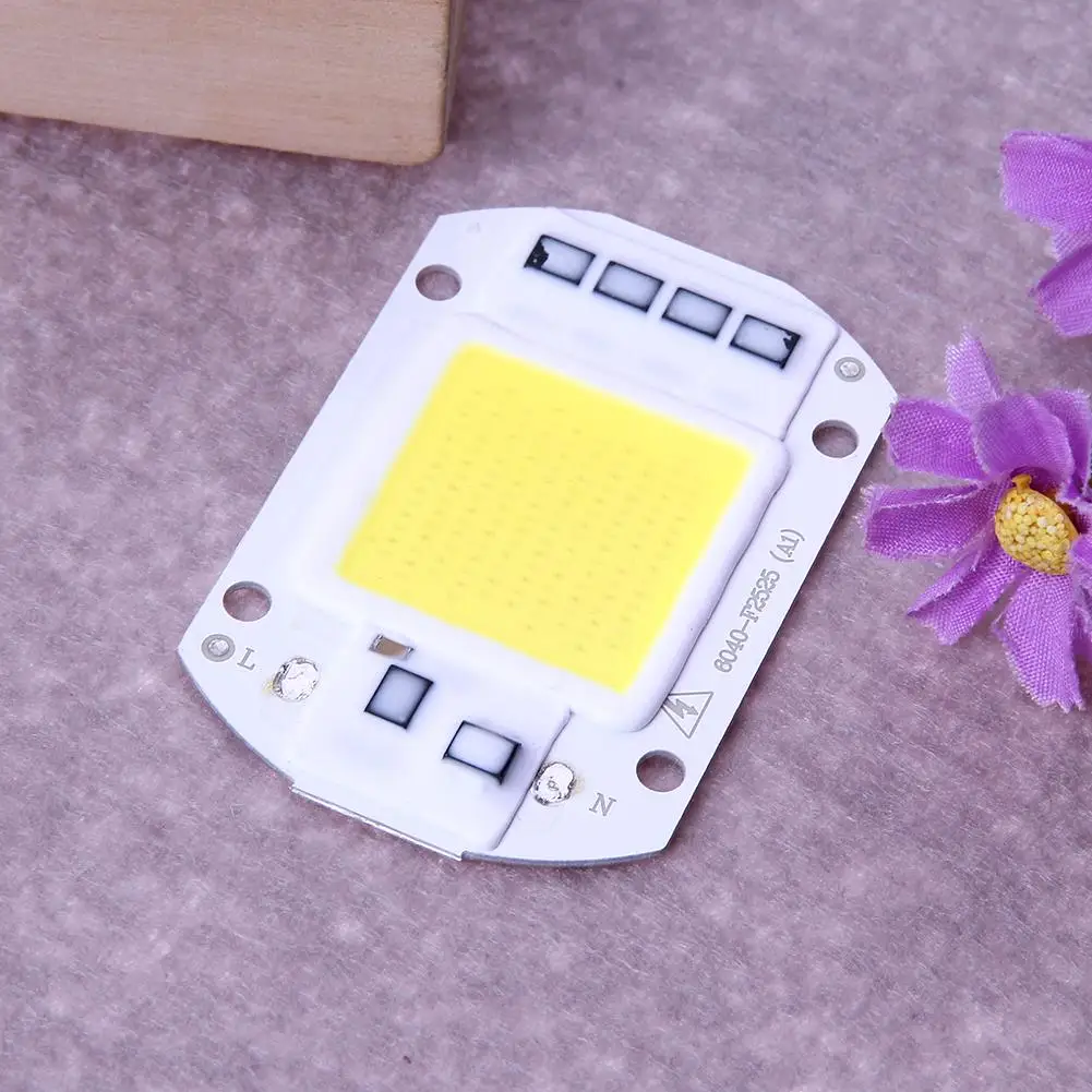 

2pcs 50W LEDs Floodlights COB Chip 220V Input Integrated IC Driver(White)