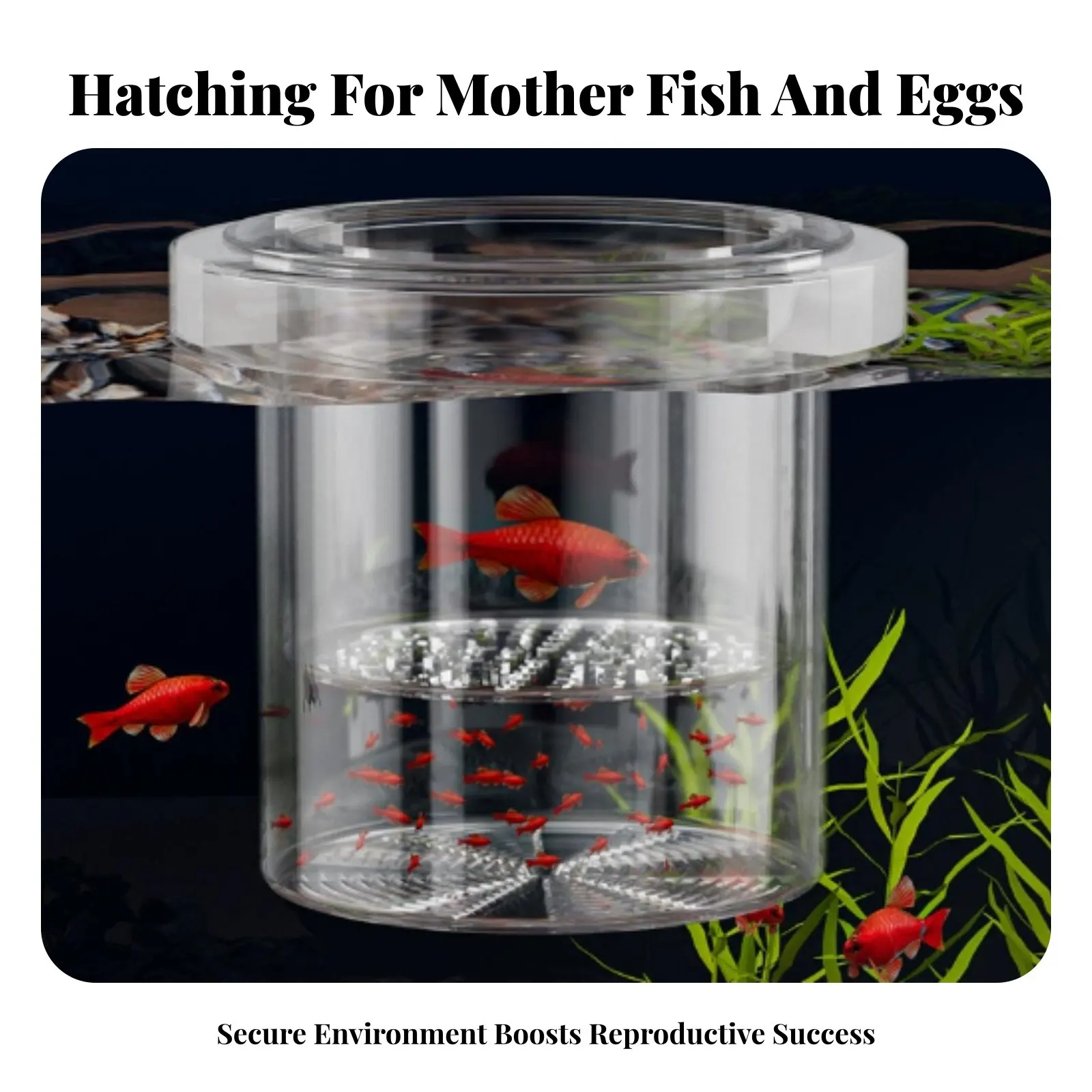 aquatic-breeder-box-good-water-circulation-aquatic-breeding-box-guppy-breeding-enclosure-anti-tip-design-easy-to-clean