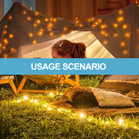 20 LED Copper Wire Fairy Lights for Bottle Decor DIY Christmas Wedding Party Patio Garden Outdoor Festoon String Light Set
