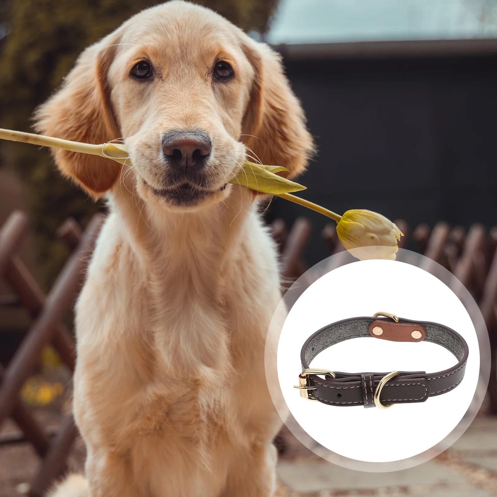 

Adjustable Pet Collar with Rivet D-Ring Bell Decor for Medium Large Dog Necklace Stylish Comfortable Dog Pet