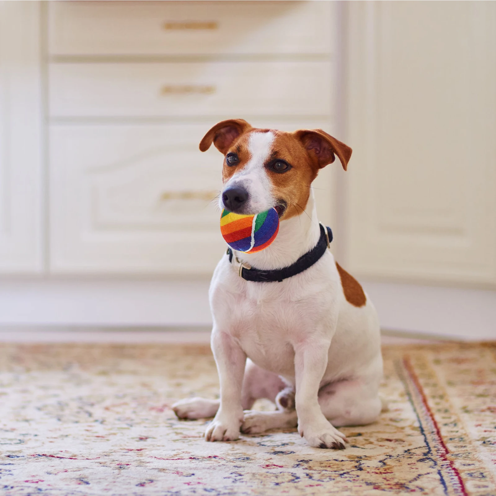 

3 PCS Rainbow Tennis Bouncy Balls Beginner Interactive Dog Toy Colored Rubber Colorful Puppy Medium Elastic Training Playful