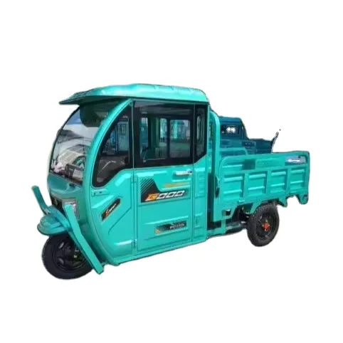 Electric Cargo Tricycle with Eec Certification Three-wheel Motor Trike Read Blue White Gray Electric Cargo Tricycle Scooter