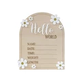 (hello world)-D