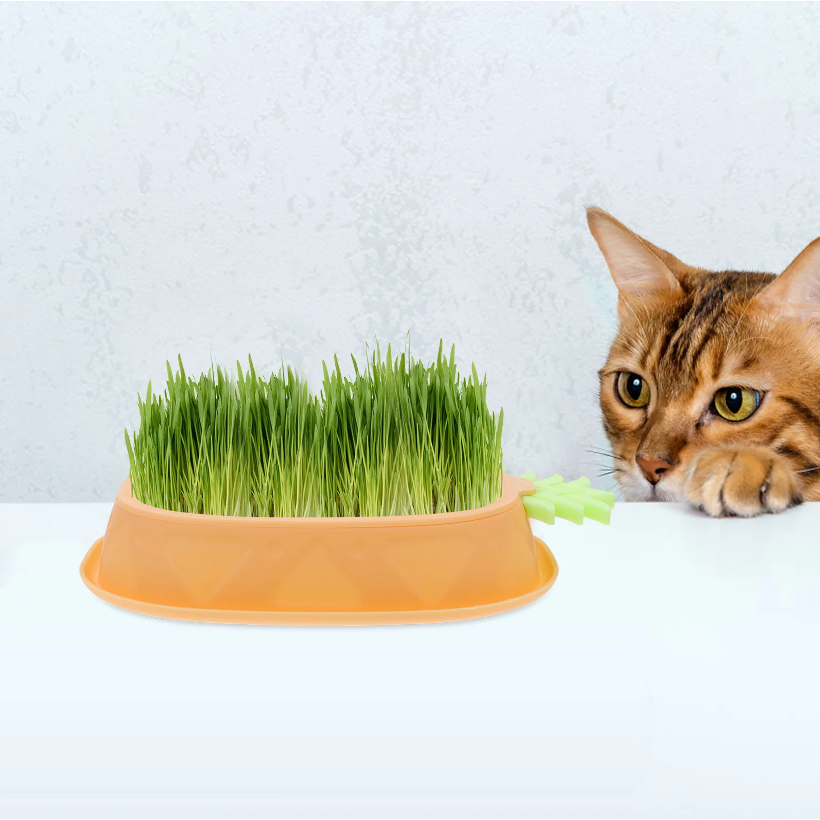 Hydroponic Cat Grass Planter Yellow Design for Cats Indoor Use Promotes Digestion Reduces Anxiety Layered Drainage