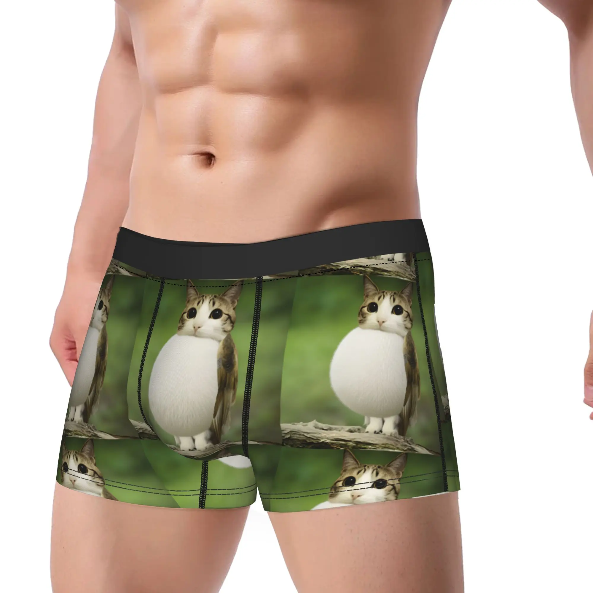 Chonky Round Meowl Cat Underwear  Man Underpants Design Breathable Boxer Shorts Quality Boxer Brief Plus Size 2XL