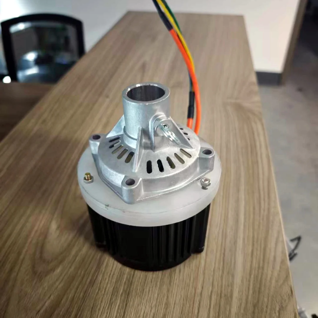 48V 1KW Electric Lawn Mower Motor with Hall Sensor And KTY83-122 Temp Sensor for Gas to Li-ion Conversion Garden Equipment