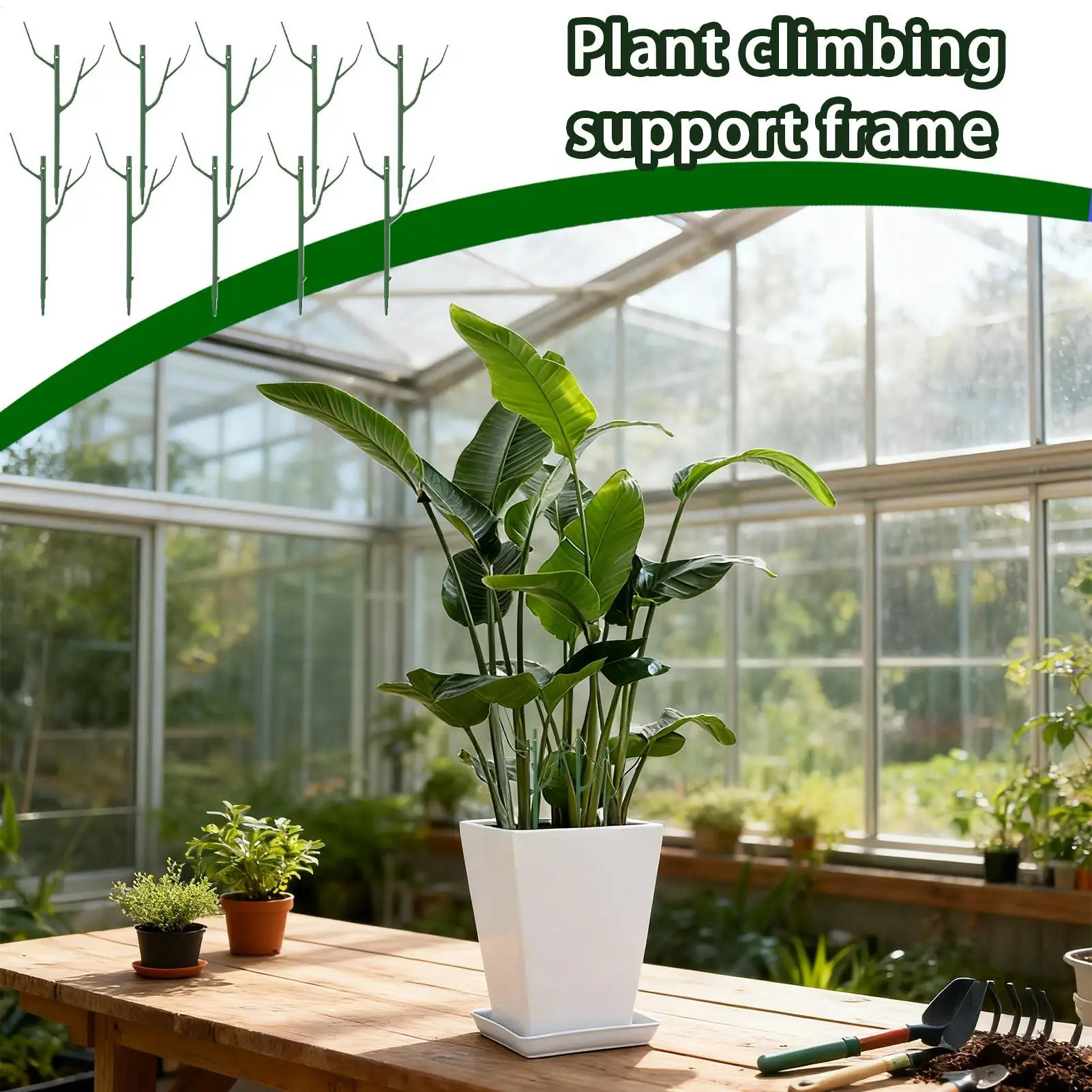 

Plastic Plant Support Pole Removable Tree Branch Plant Support Support Fixed Rod Indoor Flower Plant Vine Climbing Bracket