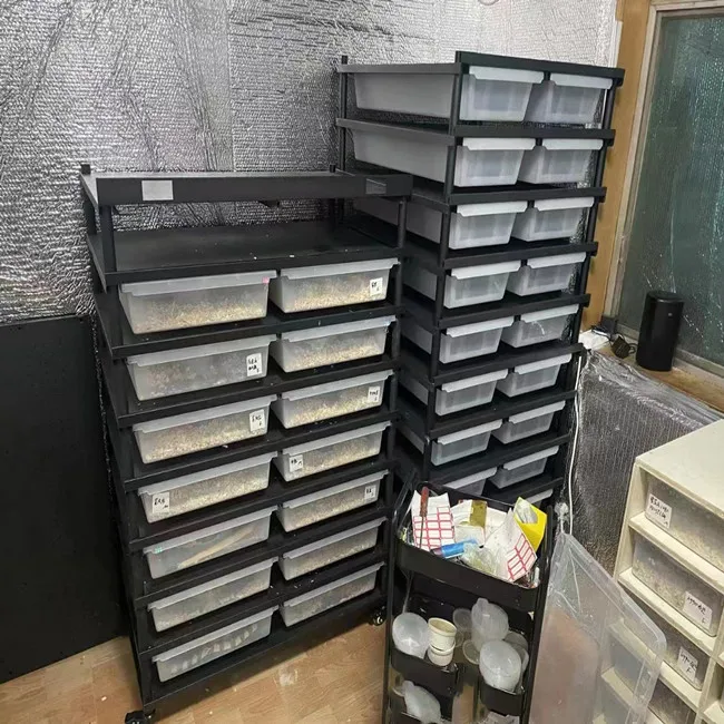 Customized size Live Reptiles Accessories Snake Rack PP PC Breeding Box Tubs Aluminum Snake Rack System for Ball Python