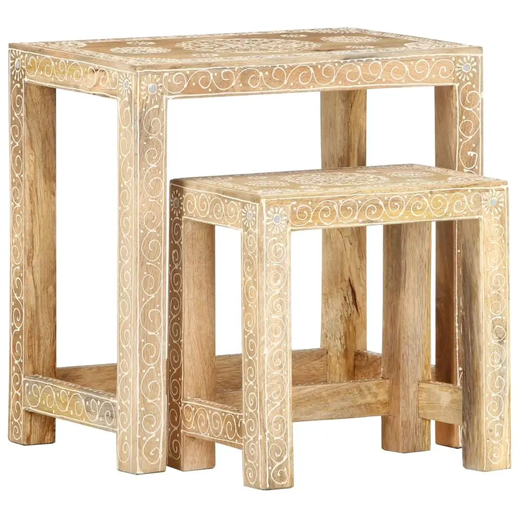 

2-Piece Hand-Painted Wood Side Table Set – Stylish & Durable Decor