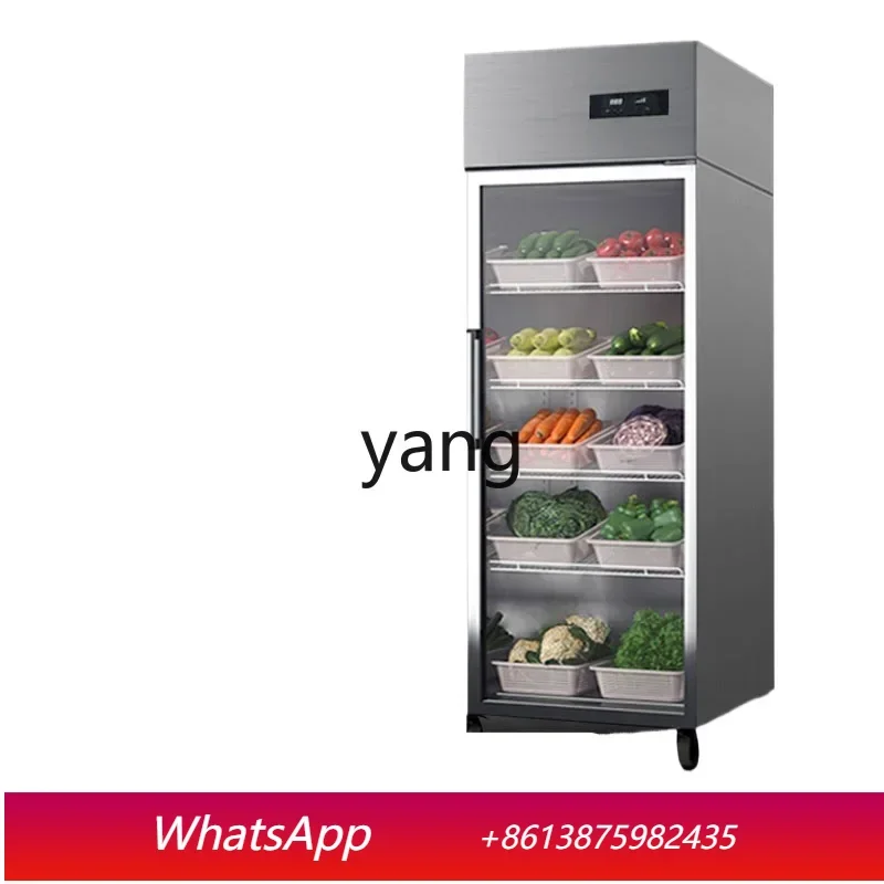 

Промышленный вертикальный холодильный шкаф-витрина CX с двойными/тройными дверями, стеклянной дверцей и функцией сохранения свежести