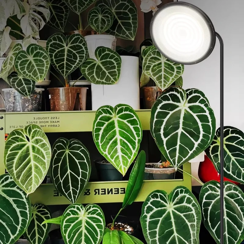 100W Full Spectrum LED Grow Light Floor Plant Lamp for Balcony Flowers High Power Growth Light Gardening Light Solution for Home