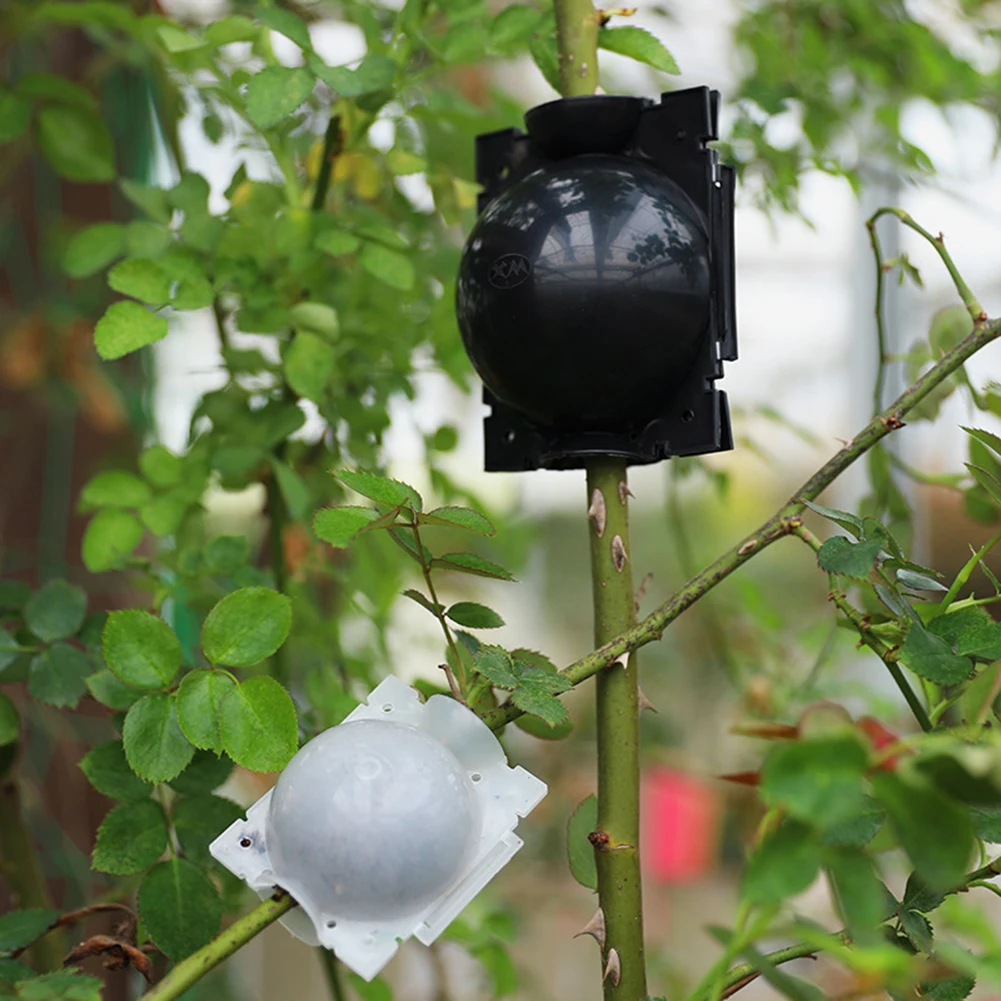 Incubatore a sfera per radicazione di piante da giardino incubatore ad alta pressione albero innestato radicazione piantina coltivazione palla