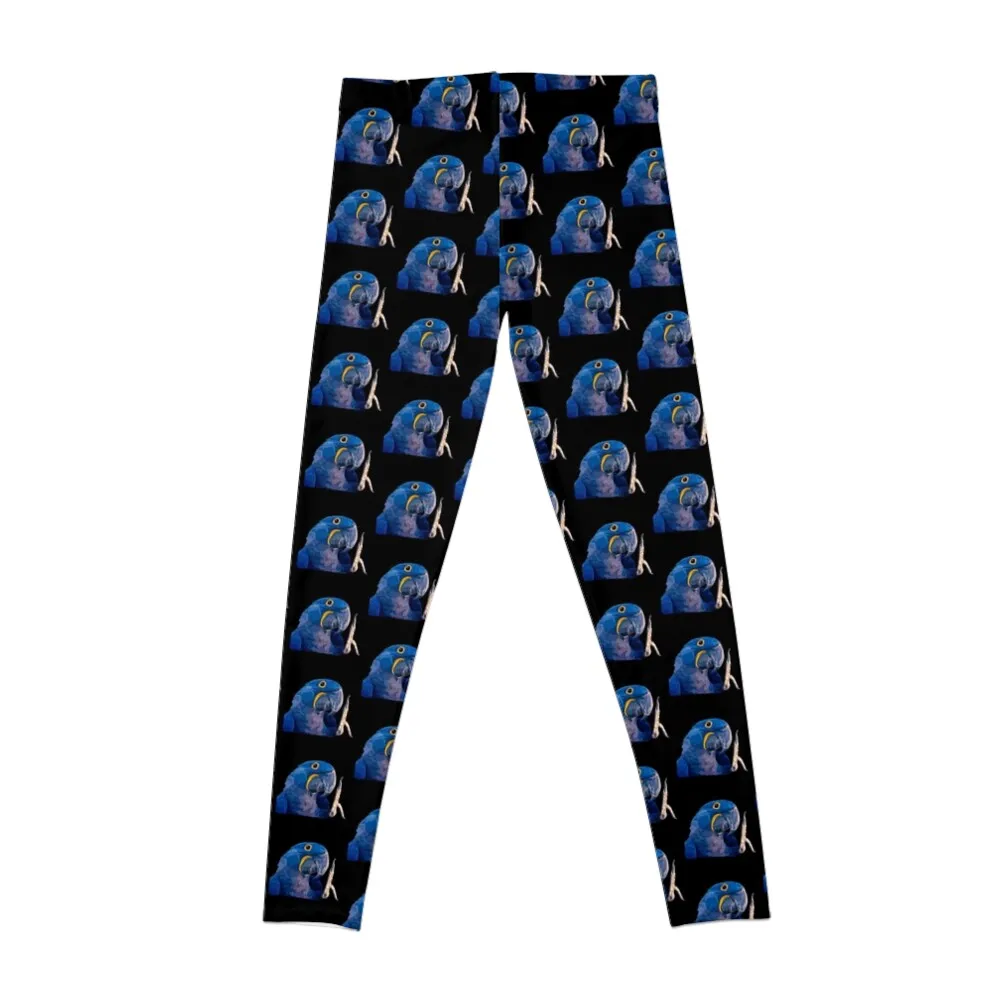 H is for Hyacinth Macaw Leggings Women's sportswear harem pants Womens Leggings