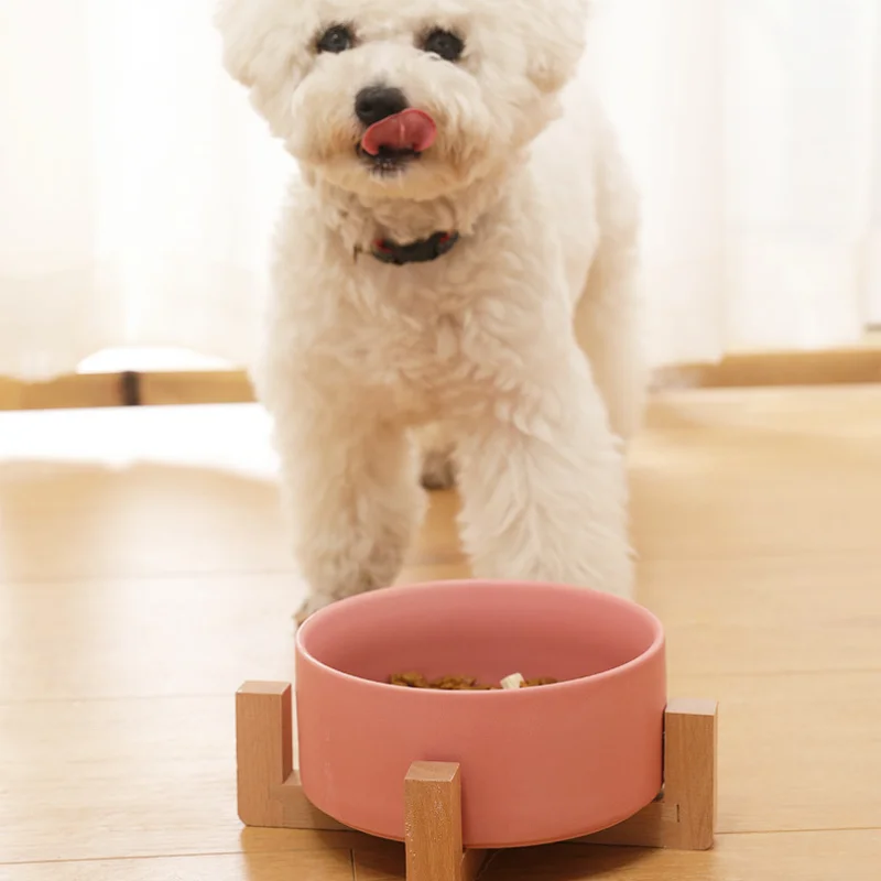 Pets Water Bowls with Wood Stand No Spill Large Feeder Dish for Dogs Cats Feeding Dog Bowl Cat Food Puppy Pet Supplies