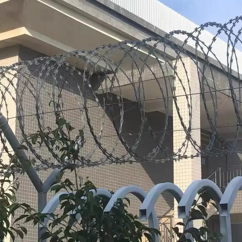 10MStainless الفولاذ المقاوم للصدأ الأسلاك الشائكة الأسطوانة قفص شبكة واقية مكافحة تسلق مكافحة سرقة سياج الأمن للمدرسة حديقة المنزل حاجز
