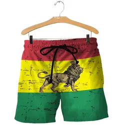 Bañador con bandera de León para hombre, pantalones cortos de Surf con cordón, secado rápido, Hawaiano, informal, Harajuku, para vacaciones y playa