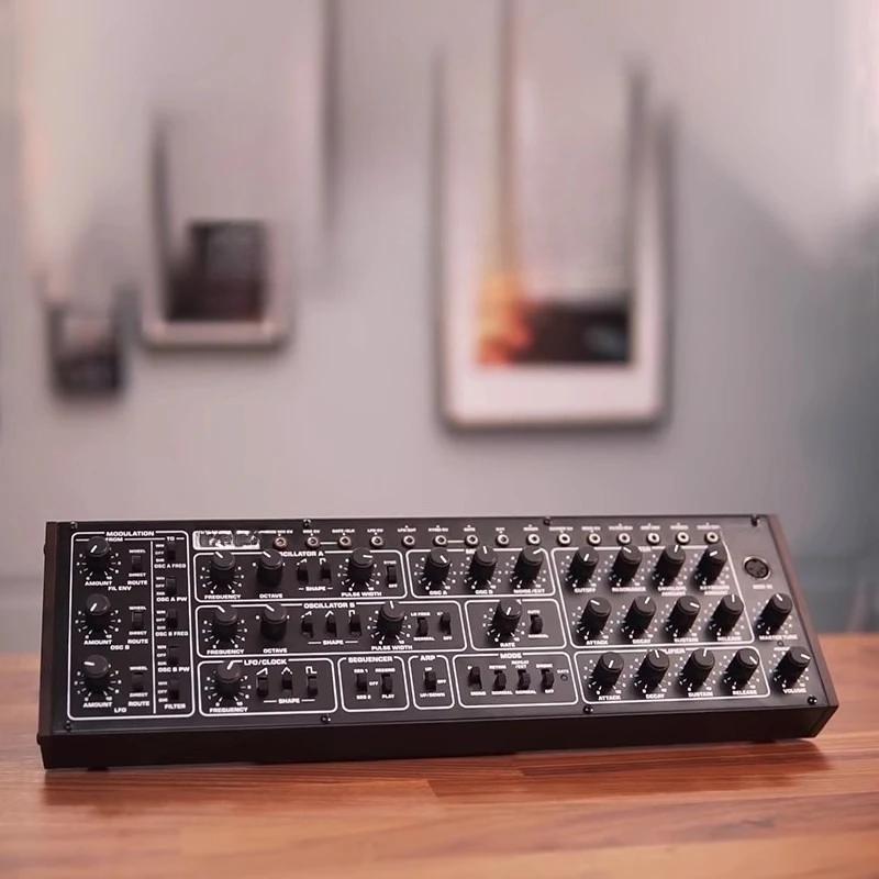 PRO-1 Monophonic Analog Synthesizer, Dual Oscillator 16 Polyphonic Chain Belt Matrix